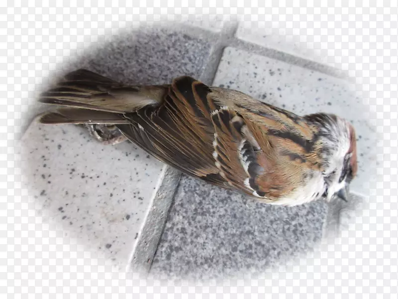 ���-������