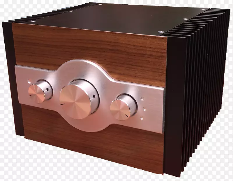 ��Ƶ���ʷŴ����������Ŵ���-������