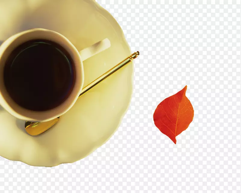 �����緢����WhatsApp-����-������