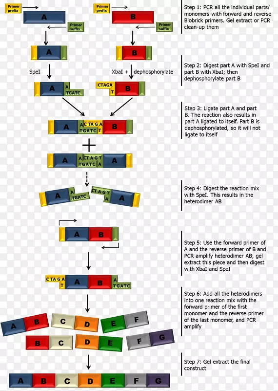 �߽�ͼ-��-������