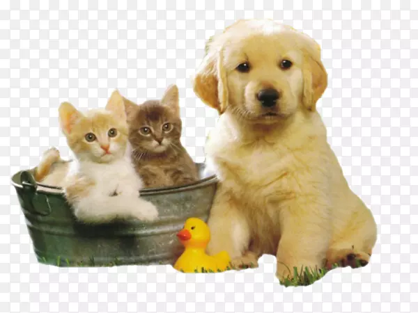 ���յ���ף�����տ��ֺؿ��ͱ���-����-������