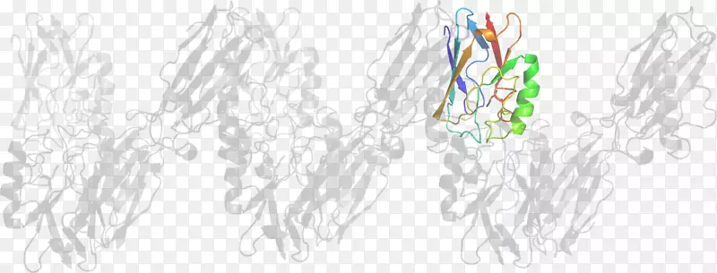 ������-��-������