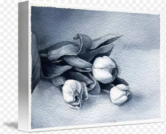 ������Ӱ���ܻ���-��-������