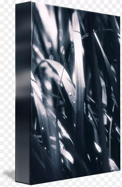 ��ɫ����-��¶-������