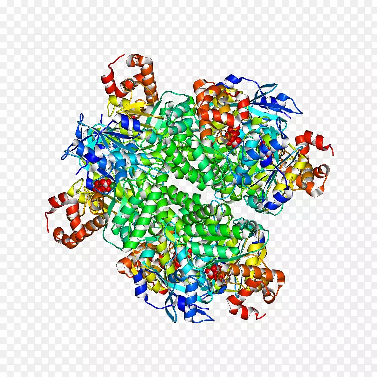 �ߵ������-��-������