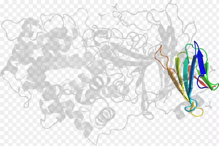 ���������-������