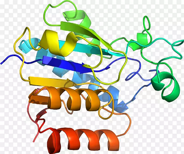 �������춬����Ȱ����춬������������-������