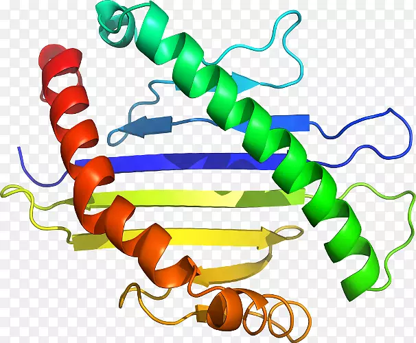 ���������л����߼�������-������