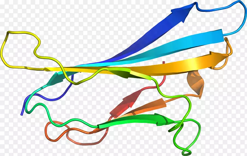 �ߵ������-��-������