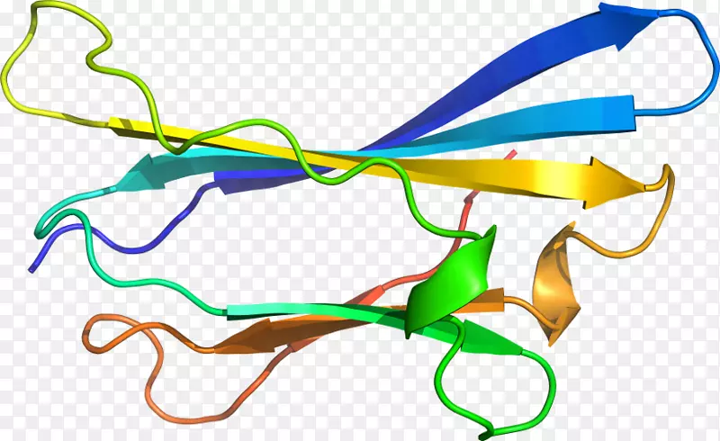 �ߵ������-��-������