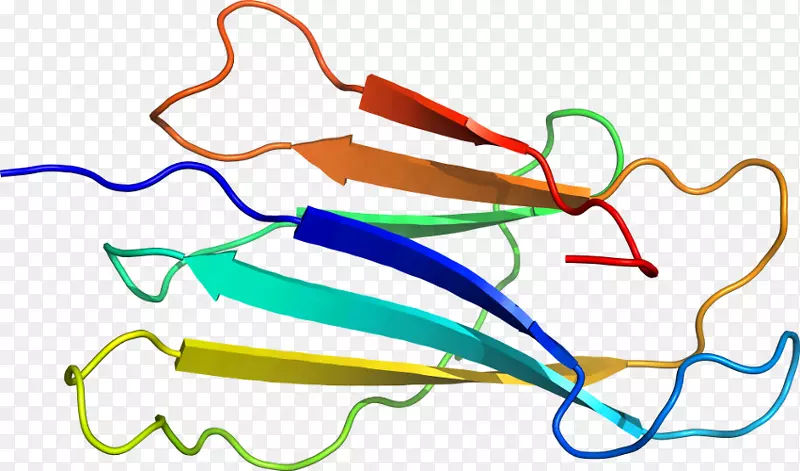 �ߵ������-��-������