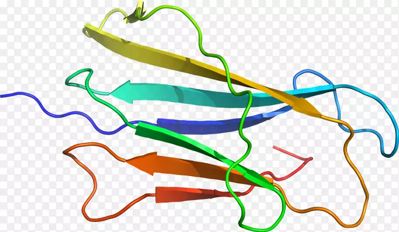 �ߵ������-��-������