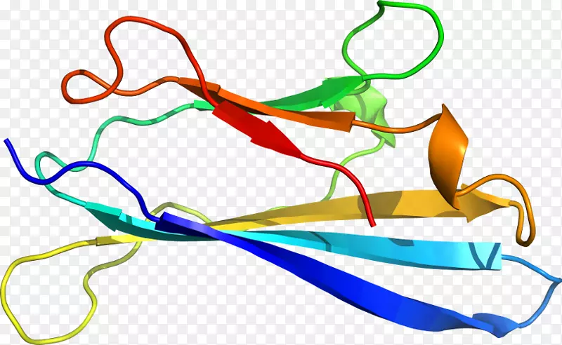 �ߵ������-��-������