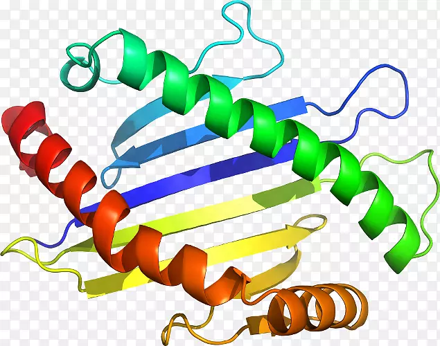 �����鱦���л����������-������