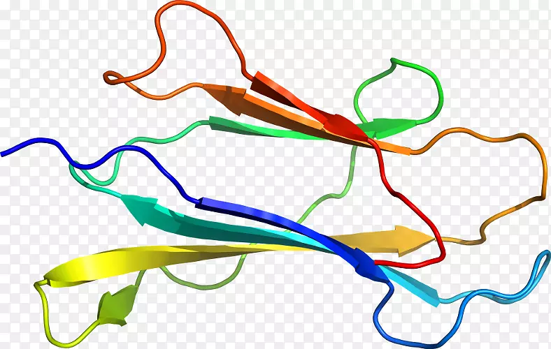 �ߵ������-��-������