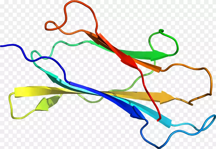 �ߵ������������-������