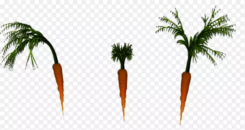 ���ƿƲݣ�ֲ�ﾥ������Ҷ-������