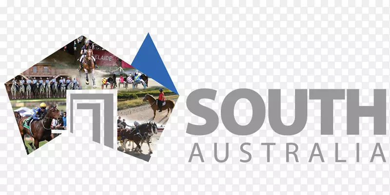 �ϰĴ�������ֲ���������֯Algo m��sӪ��-ҵ��-������