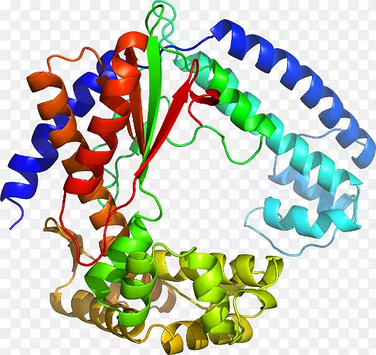 �����鱦������.dna�ۺ�ø��-������
