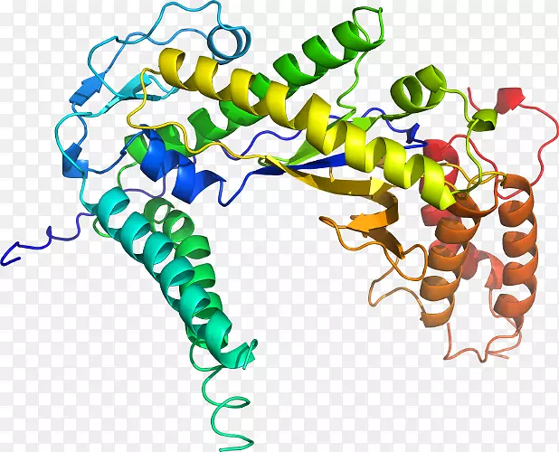 �ߵ������������-������