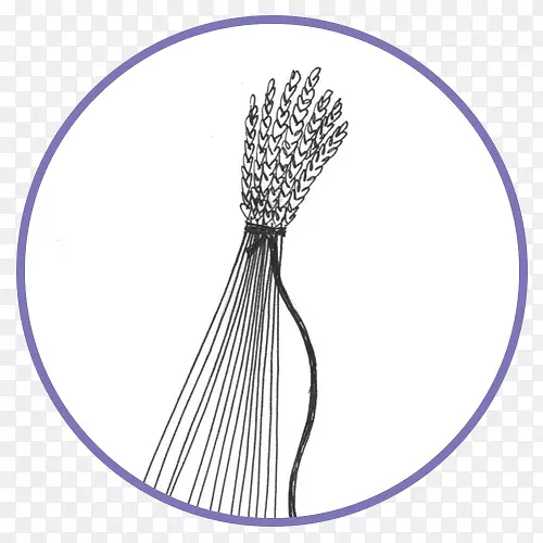 ����Ʒϵ�в����м�����-������