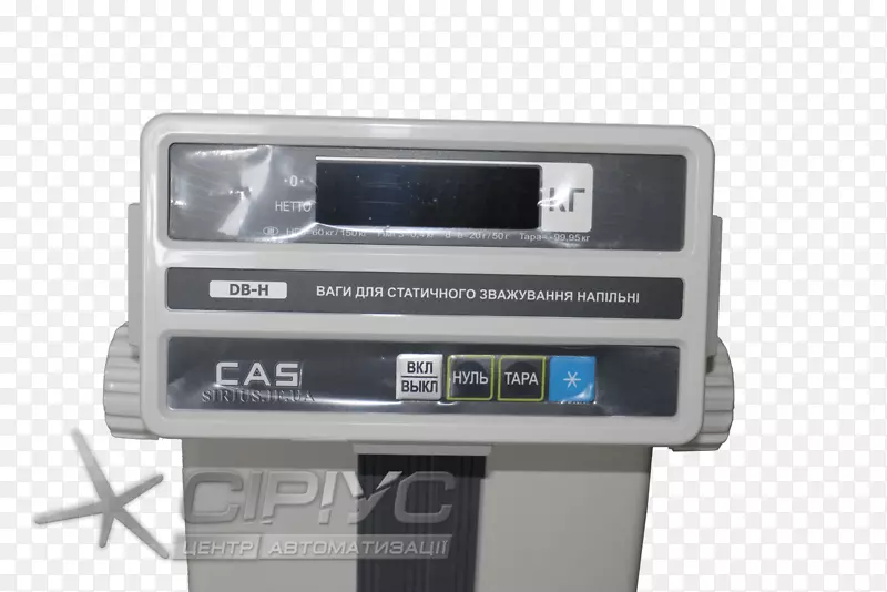 ���Ӷ�ý�����-������