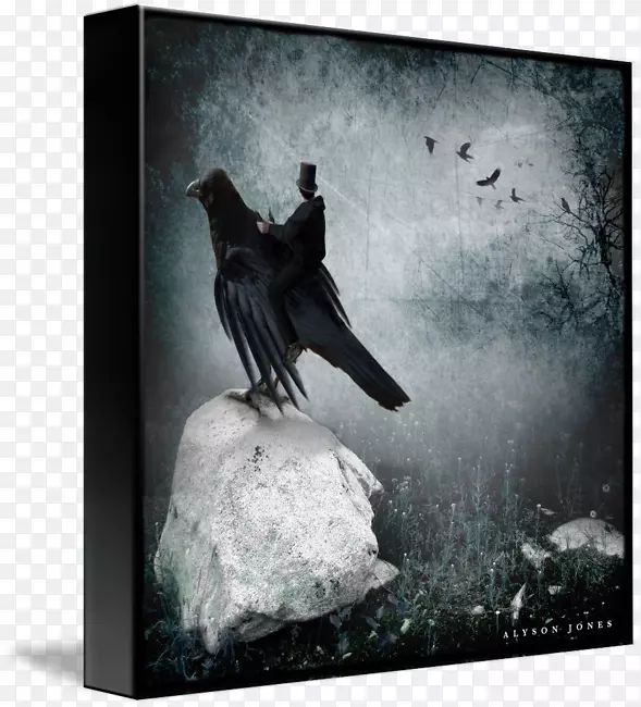 ��ɫ����-ˮ����ѻ-������