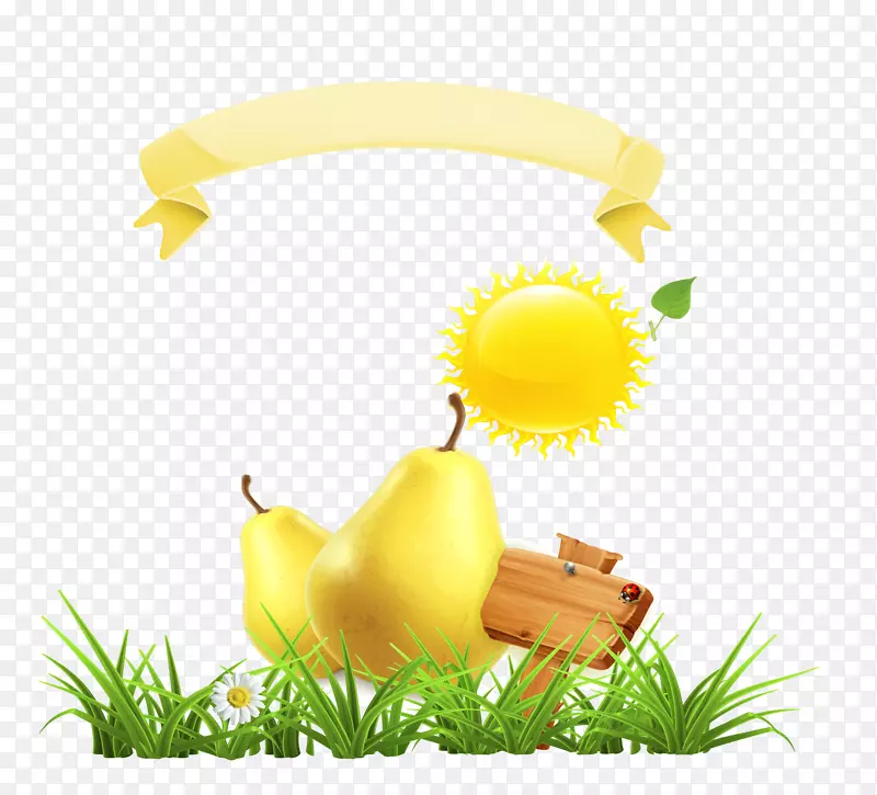 ���������̫��-������