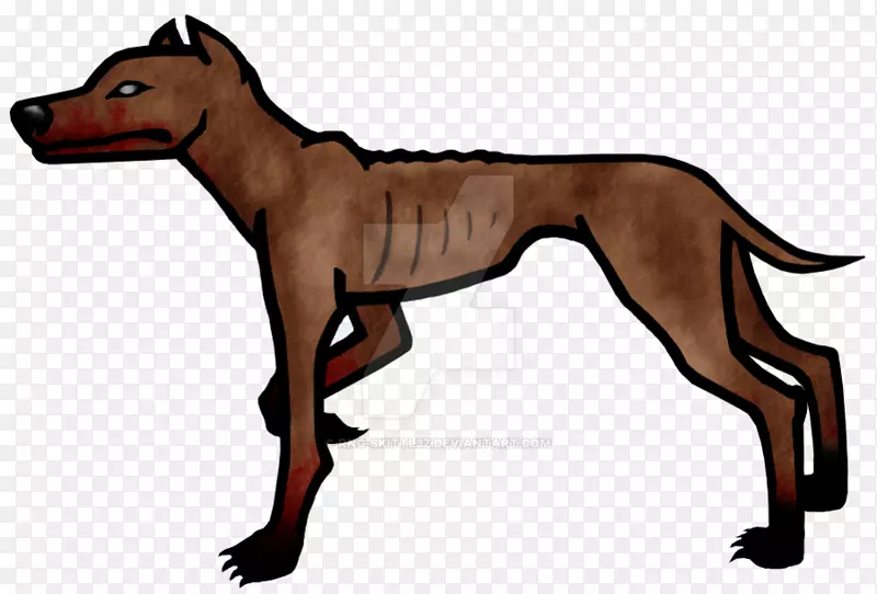 Ȯ��������ҹ����Ӽ�����-������