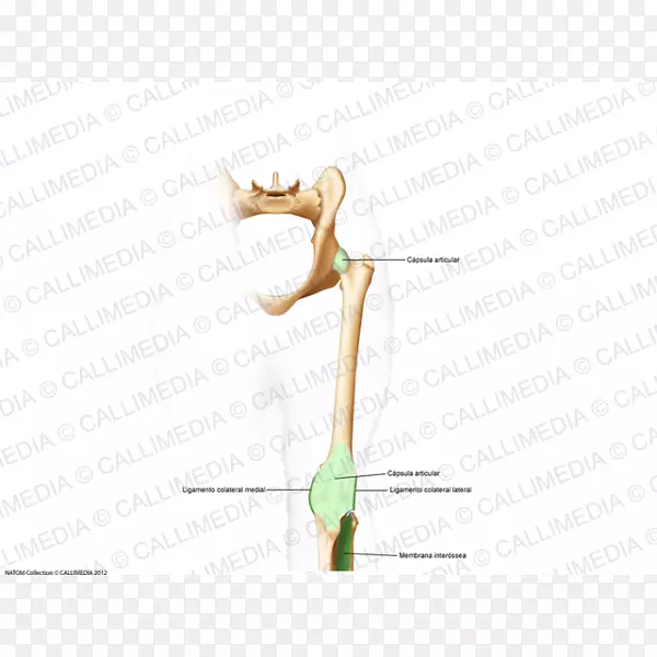 ��ָľ/m/083vt-ľ��-������