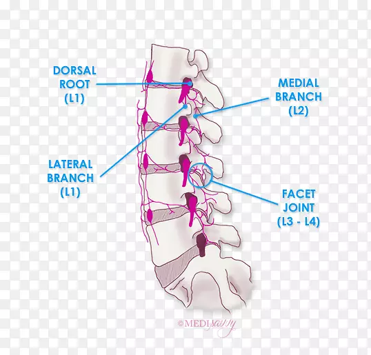 Ь�����-������