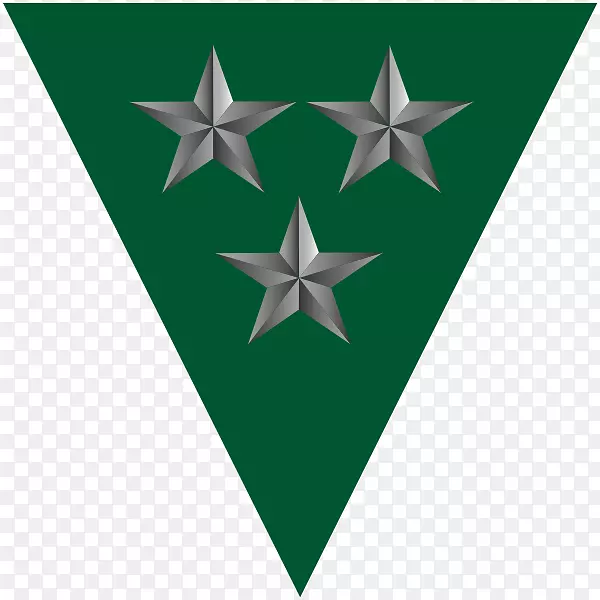 �����ֽ������-������