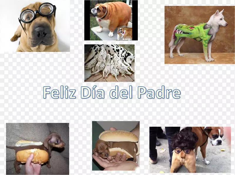 Ȯ���ȹ�����-С��-������