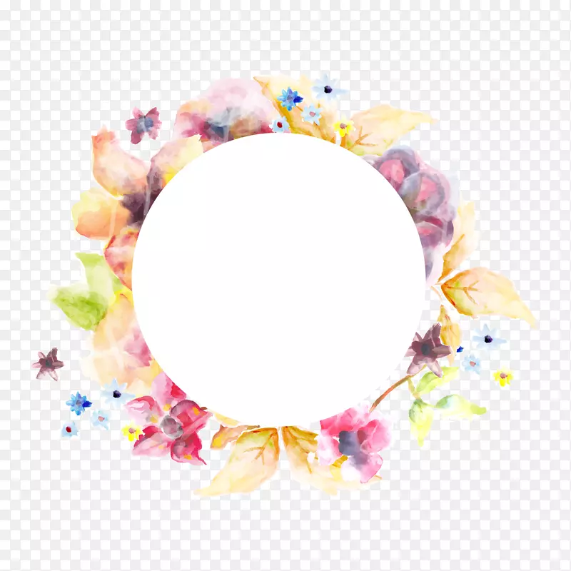 ��Ӱ�������࣬���ͣ���֬-ˮ�ʻ�-������