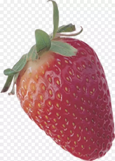 ��ݮ���͵���-������