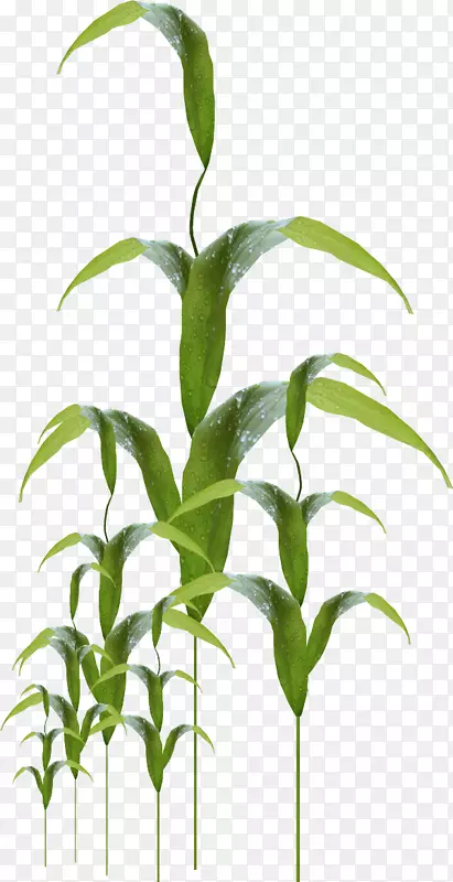 �ݼ�����-��-������