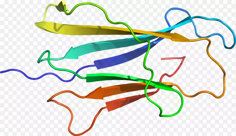 �ߵ������������-������