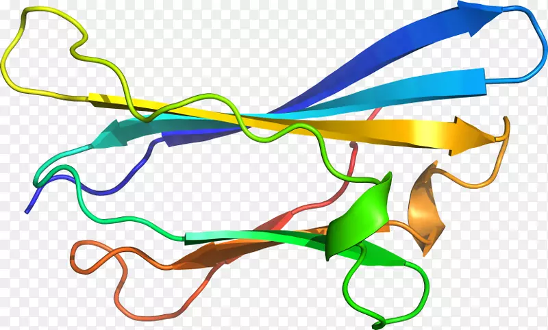 �ߵ������-��-������