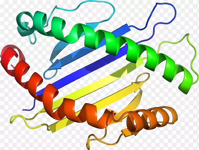 ʳƷ����ϵ�м�����ϵ��-������