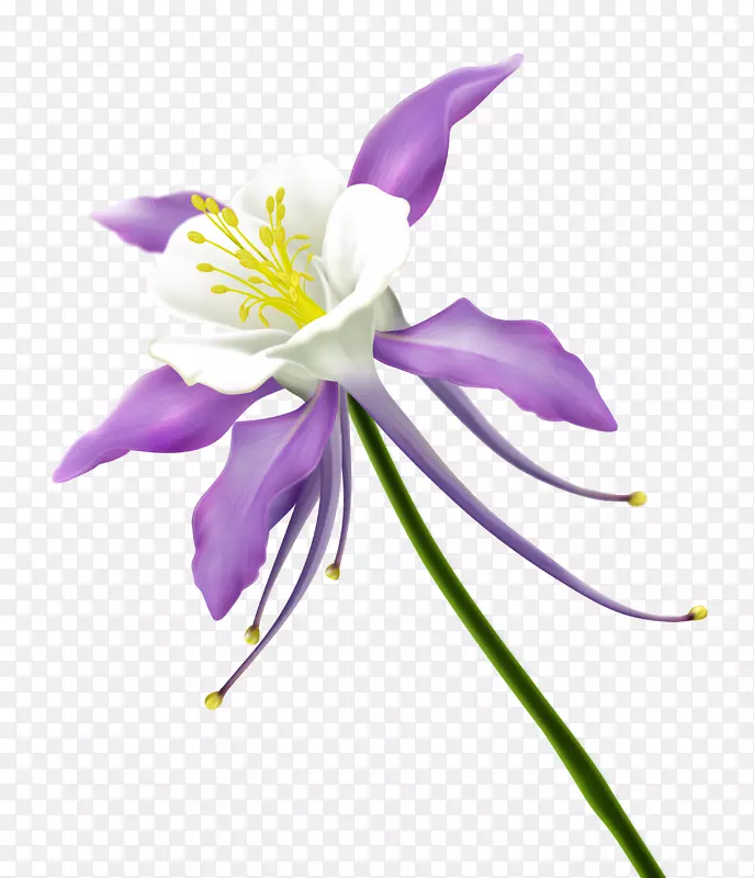 ֽ������ƻ���.���ͺͻ���-������