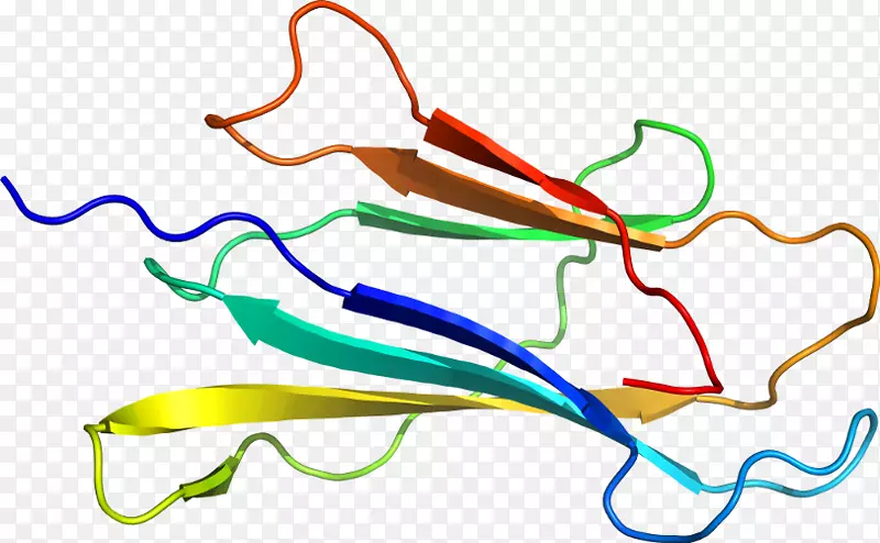 �ߵ������-��-������