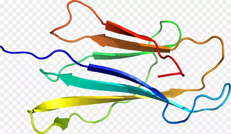 �ߵ������-��-������