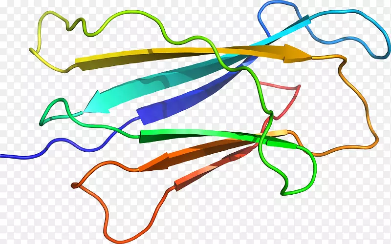 �ߵ������������-������