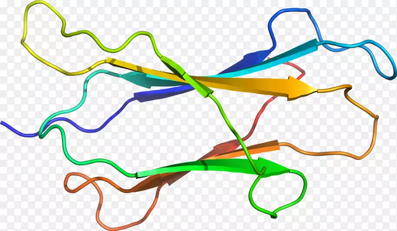 �ߵ������-��-������