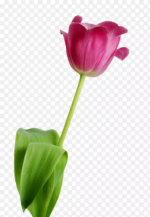 �����������ֽ��������-������