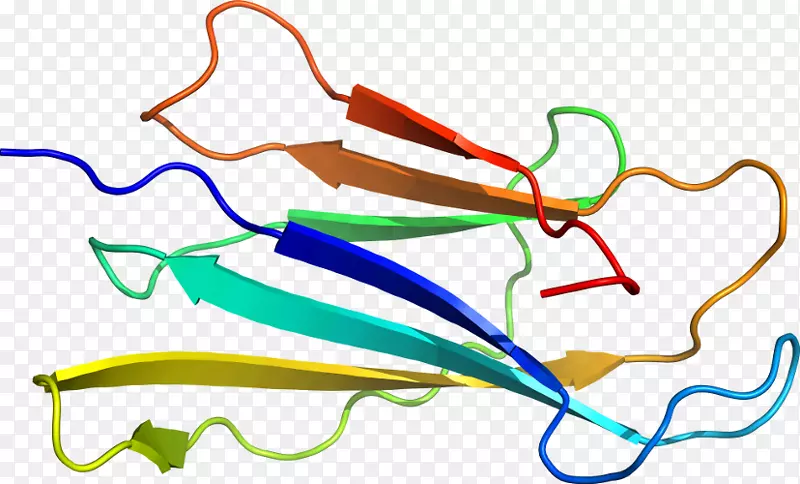 �ߵ������-��-������