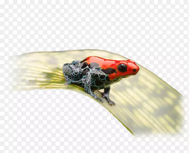 ����-������