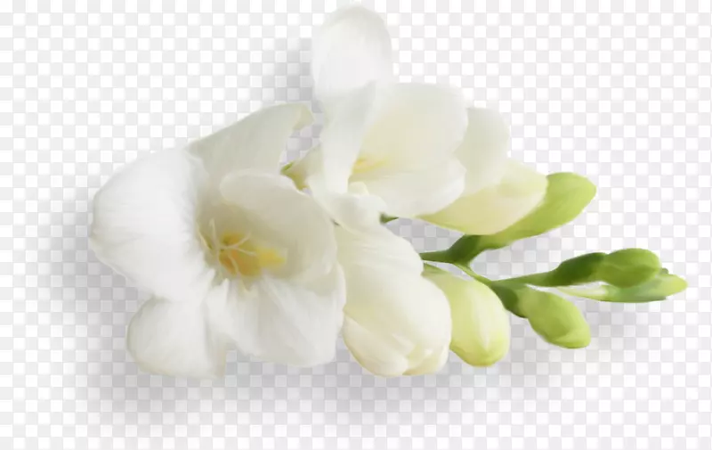 �ɶ�����-������