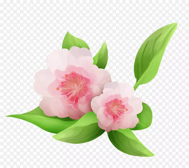 ˮ�ʻ�-������ĸs-������