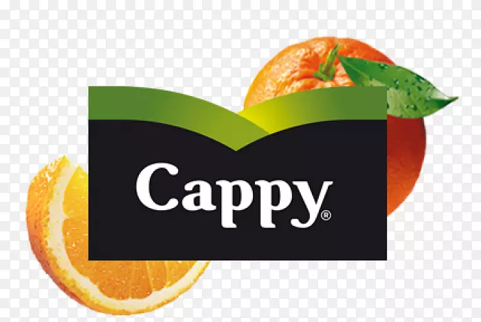 ��֭���ȿɿڿ��ֹ�˾ʳƷ����-������